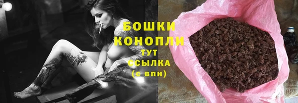 гашик Алексеевка