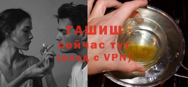 гашик Алексеевка