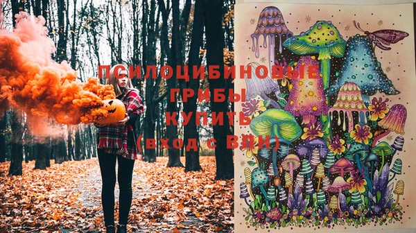 прущие крисы Алзамай