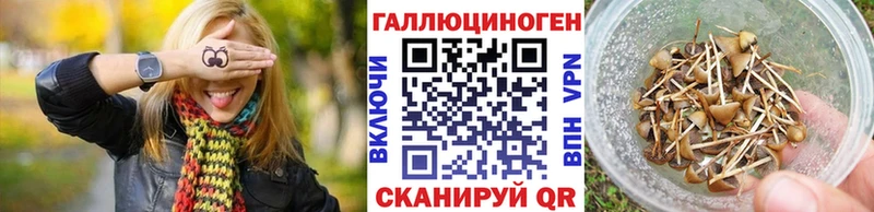 Псилоцибиновые грибы ЛСД цена наркотик Махачкала